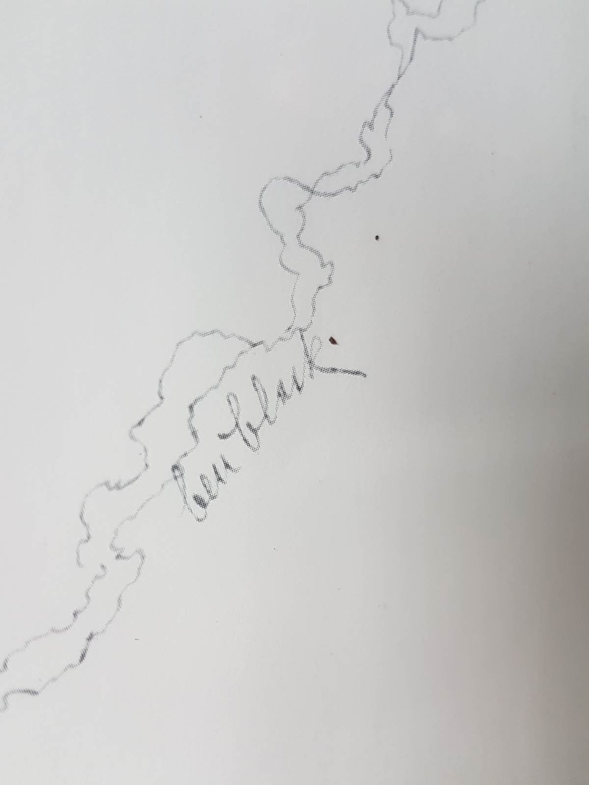 Ben Black - Prachtige Lithografie “Rose Chapeau” /1977 USA