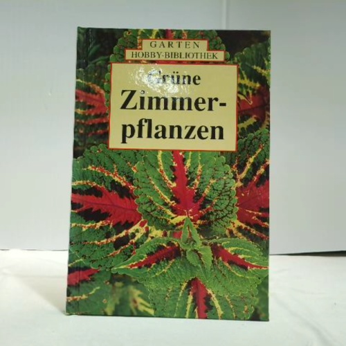 Buch / Grüne Zimmerpflanzen