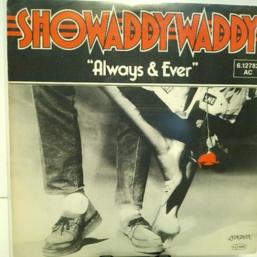 SINGLE / Showaddywaddy – Always & Ever