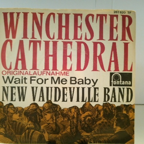 SINGLE / The New Vaudeville Band – Winchester Cathedral