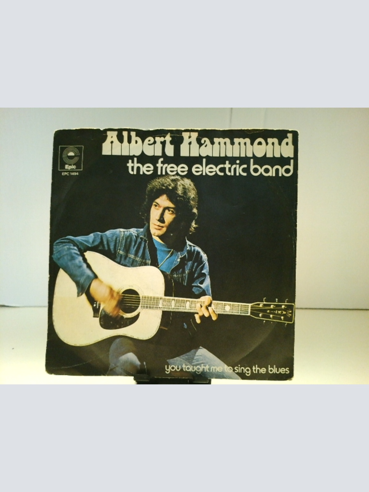 SINGLE / Albert Hammond – The Free Electric Band