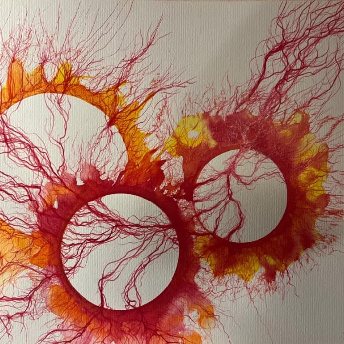 Antfragil - Wolfgang Galler