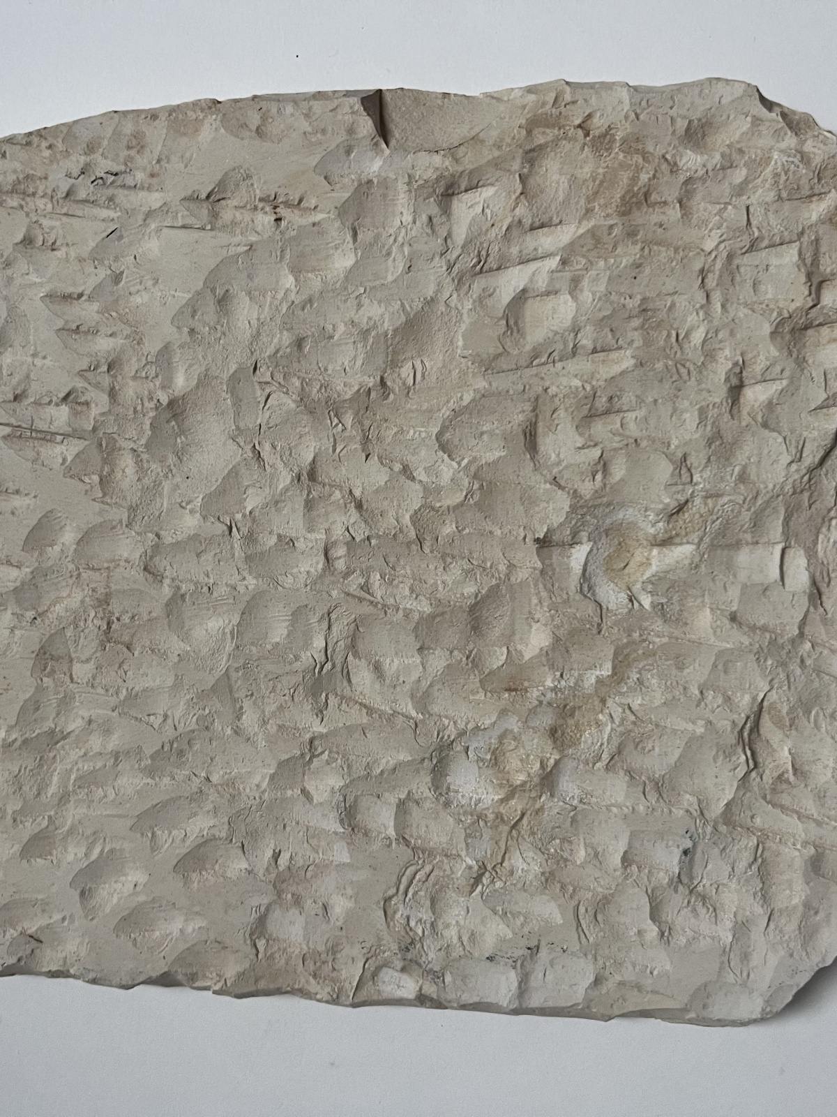 Steinkunst - Lebensbaum Ägypten