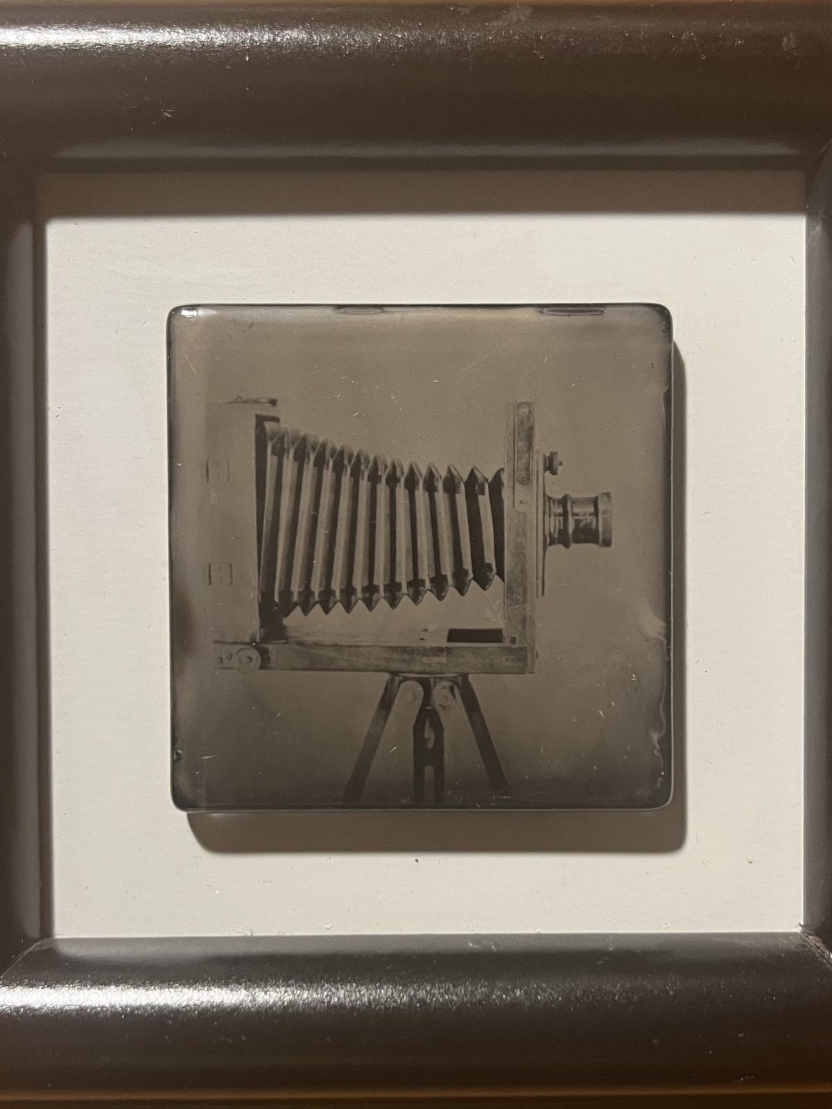 Plattenkamera  - Foto auf Glasplatte