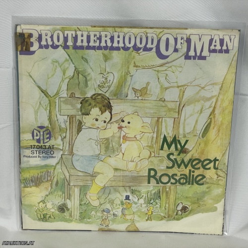 SINGLE / Brotherhood Of Man – My Sweet Rosalie
