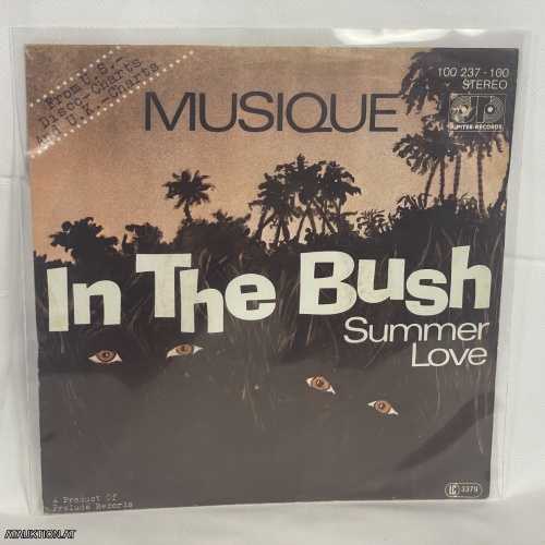 SINGLE / Musique – In The Bush
