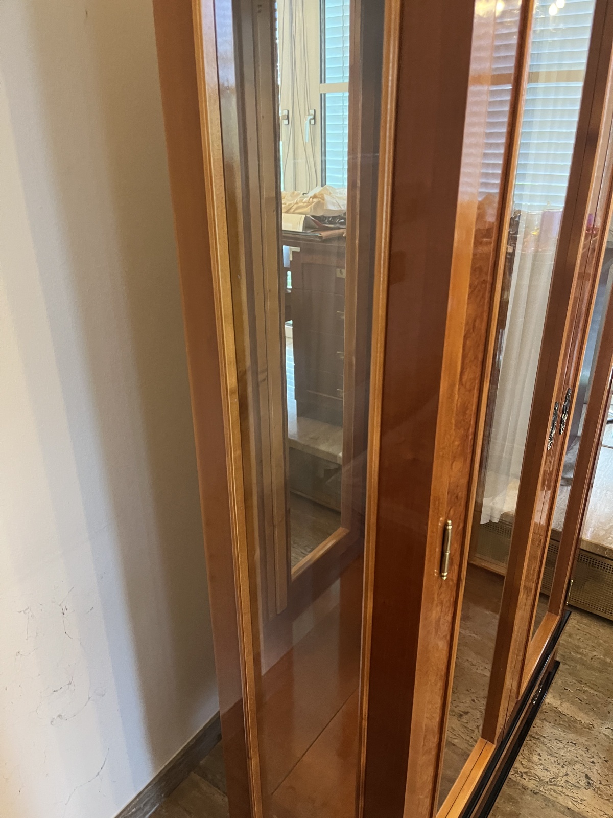 Schöne Glastürvitrine (29)