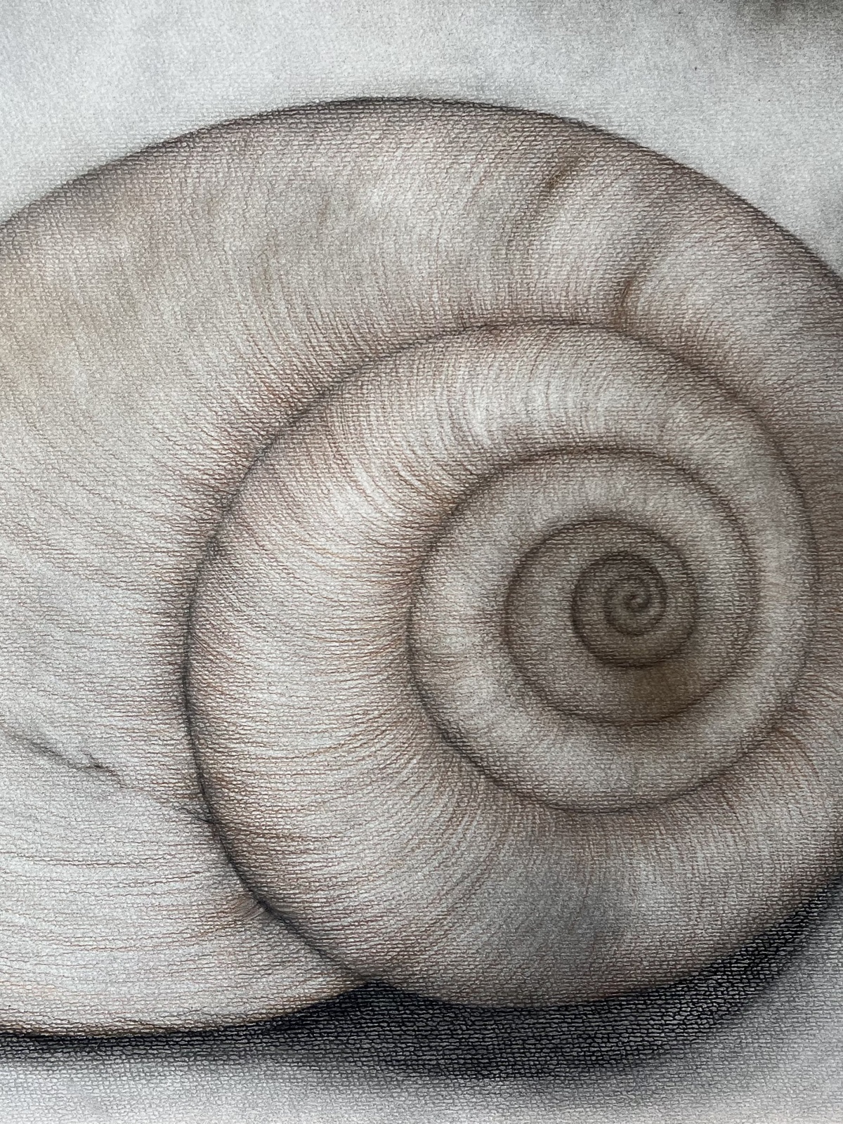 Zuhause - Wolfgang Galler