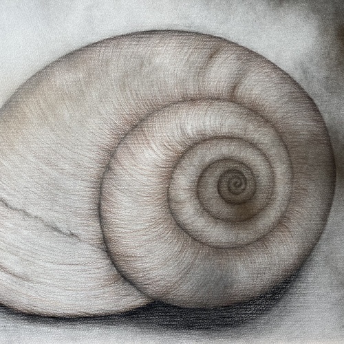 Zuhause - Wolfgang Galler