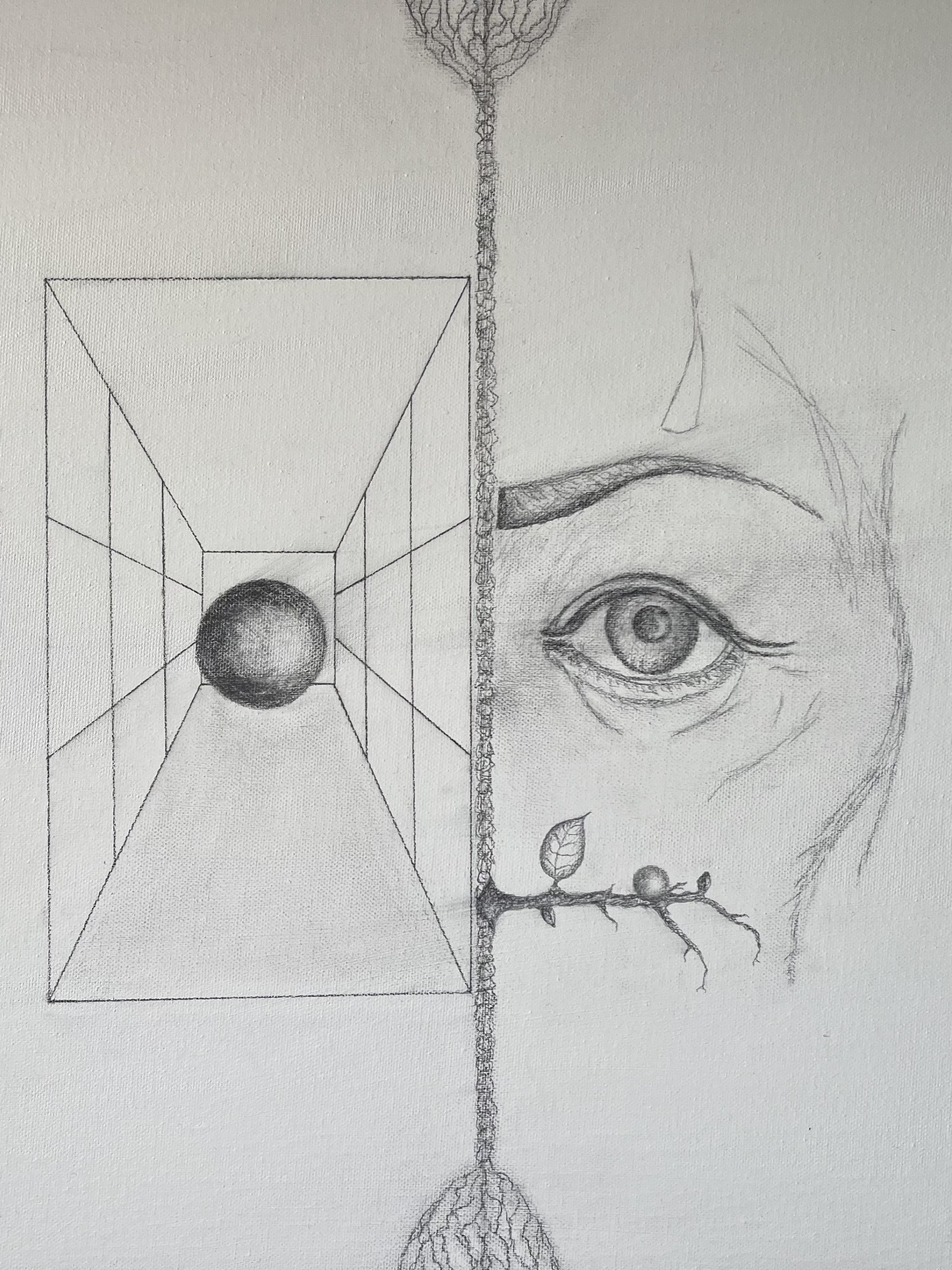 Beobachtungen - Wolfgang Galler