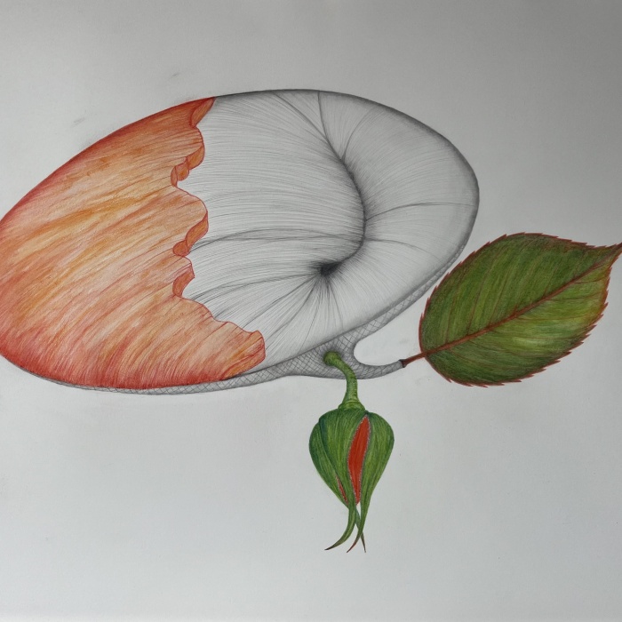 Kraft der Natur - Wolfgang Galler