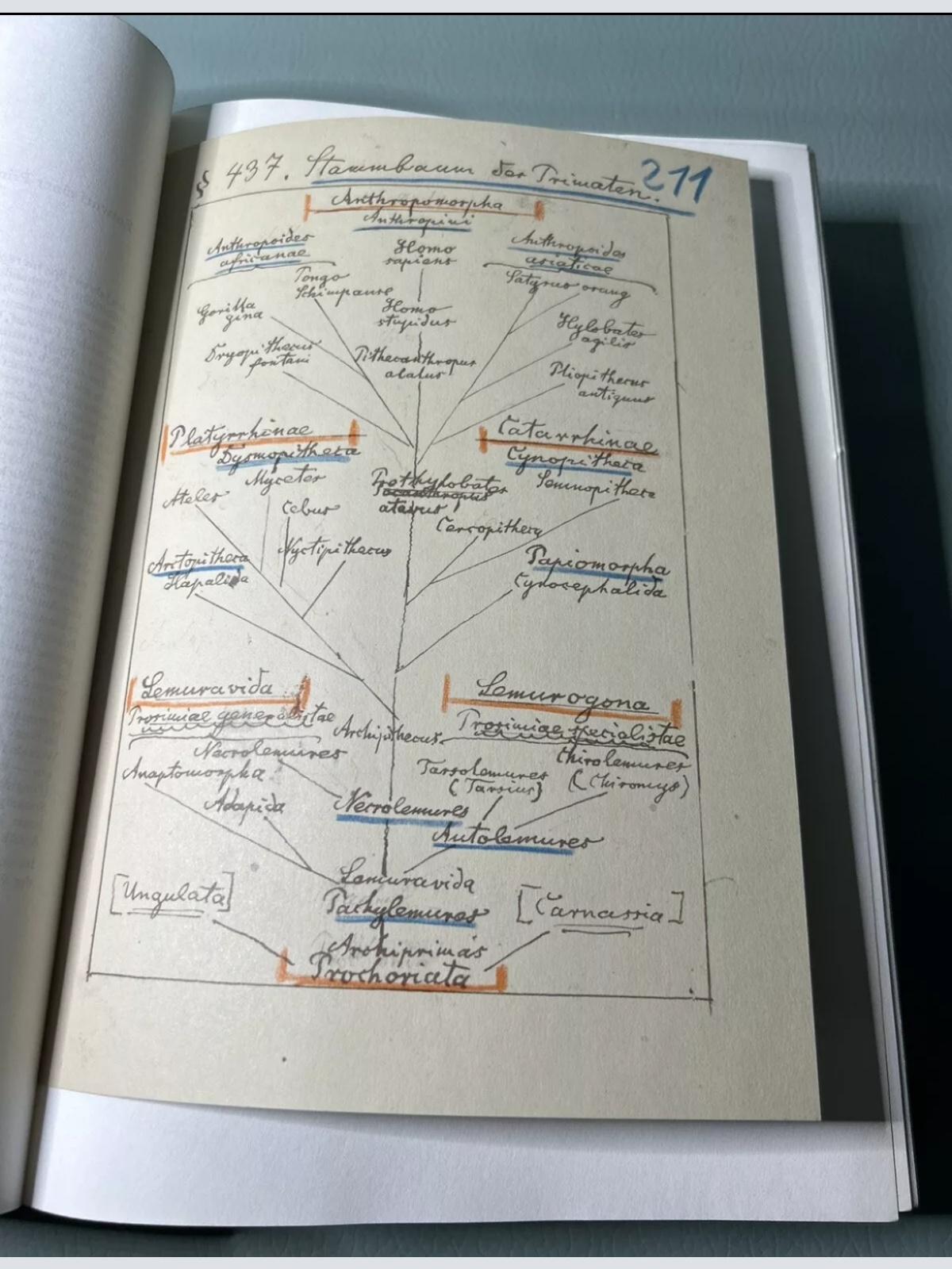 6 stuck Antik Bücher Welt Geschichte