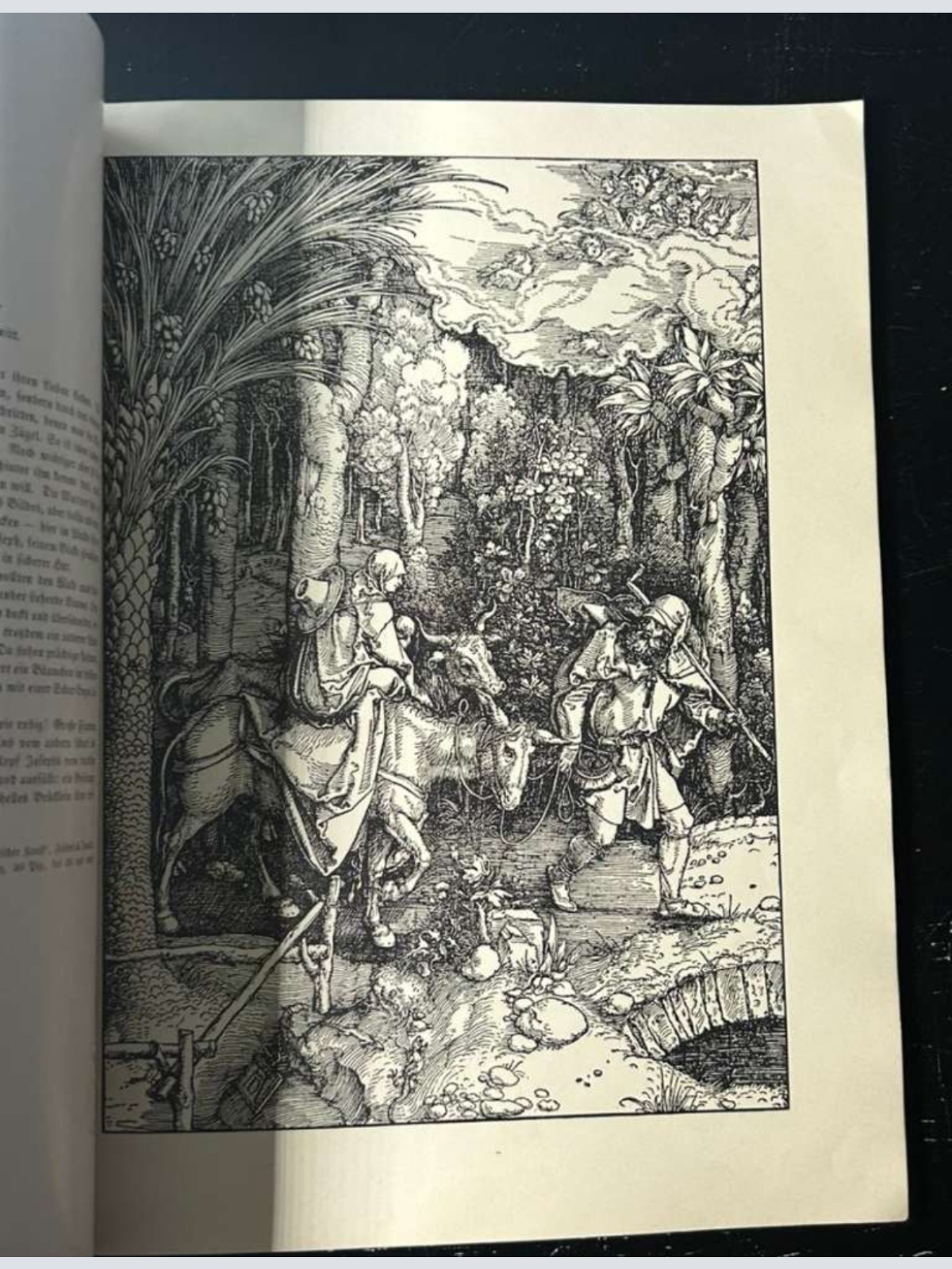 1910 Antik Albrecht Dürrer Malen Buch