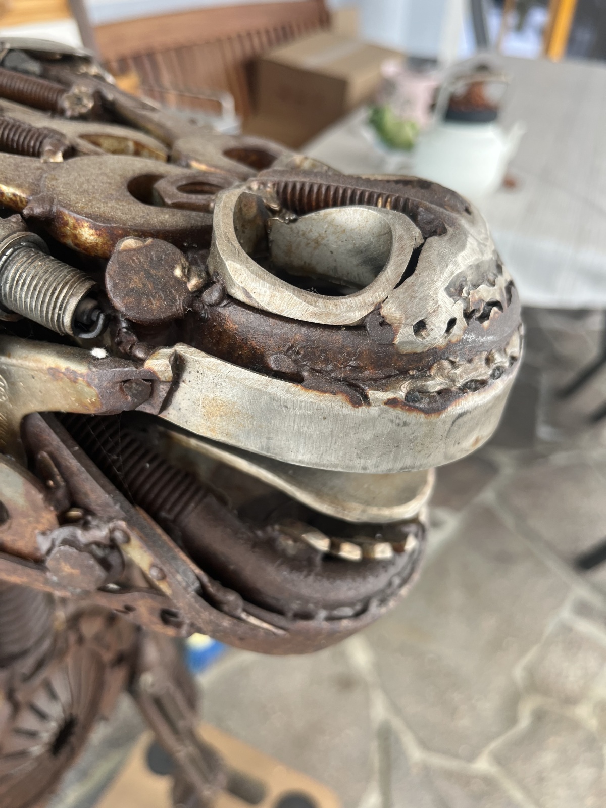 Pferdegeflüster -  M.Marksl