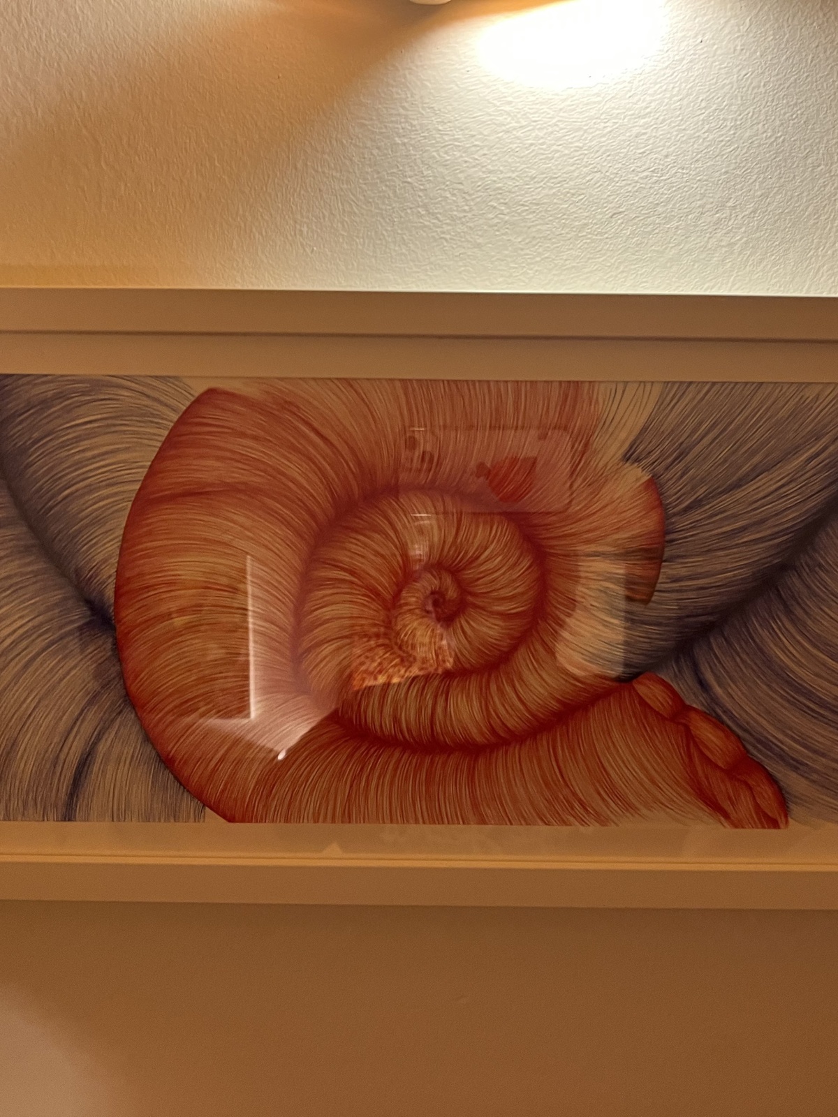 Protoconch - Wolfgang Galler