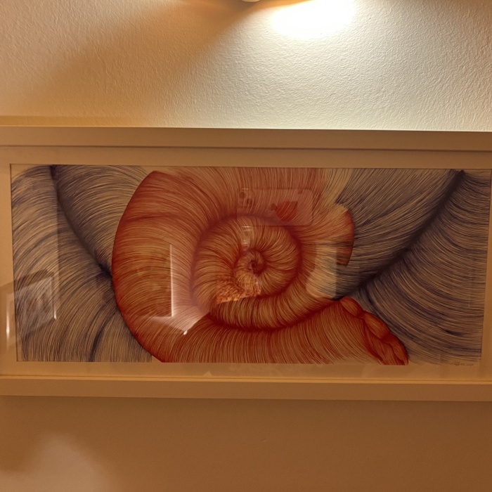 Protoconch - Wolfgang Galler