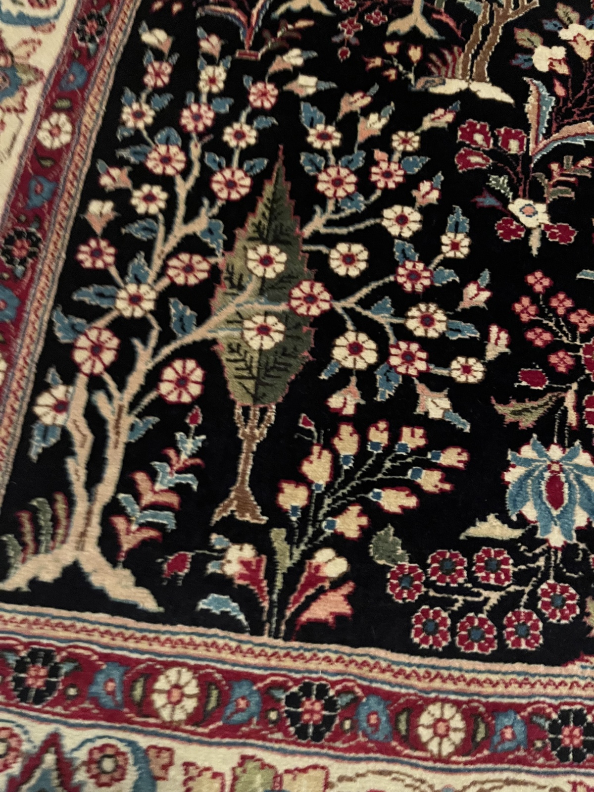 T113 - Sarugh - 143x219 cm  / (N200)