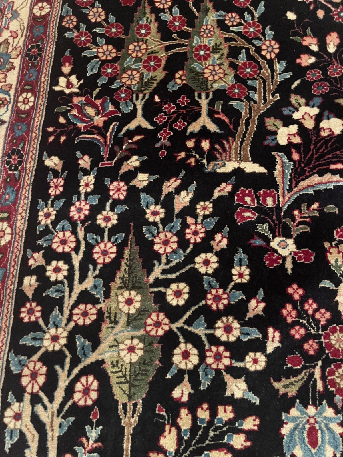 T113 - Sarugh - 143x219 cm  / (N200)