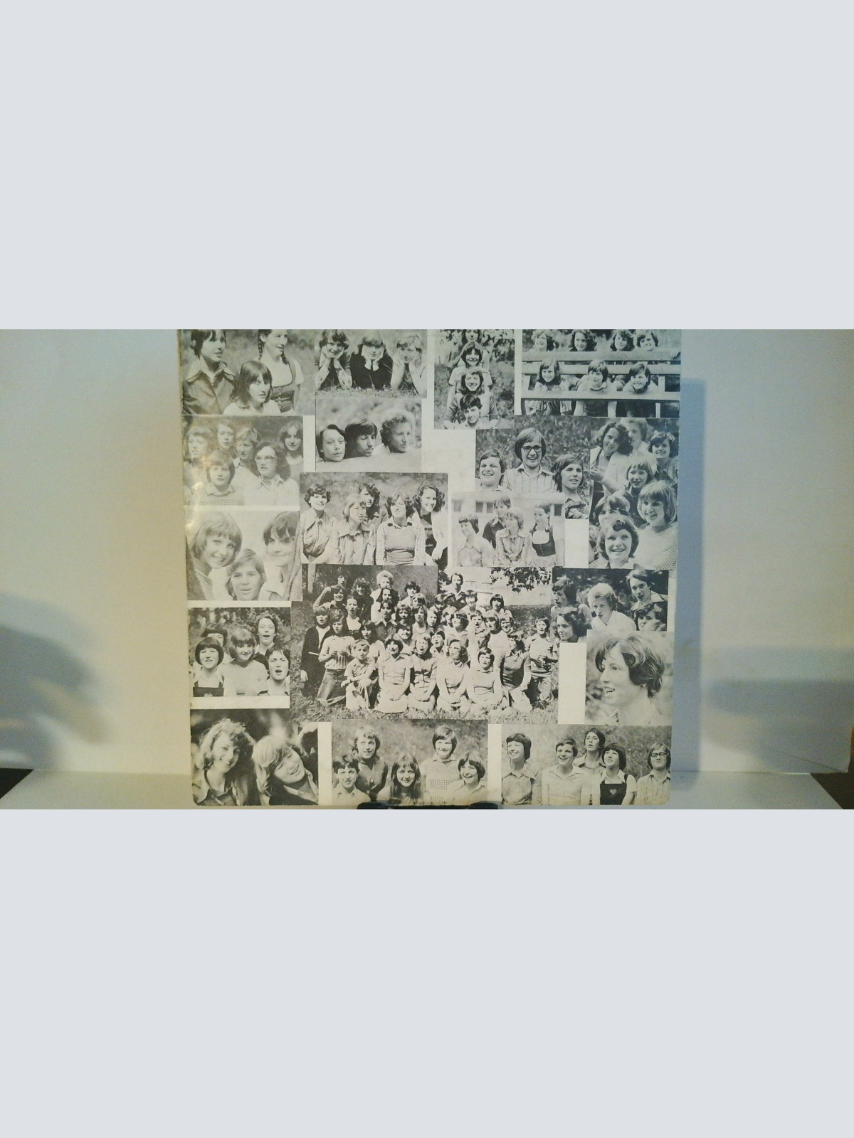 SINGLE / Der Chor des Gymnasiums Tulln singt