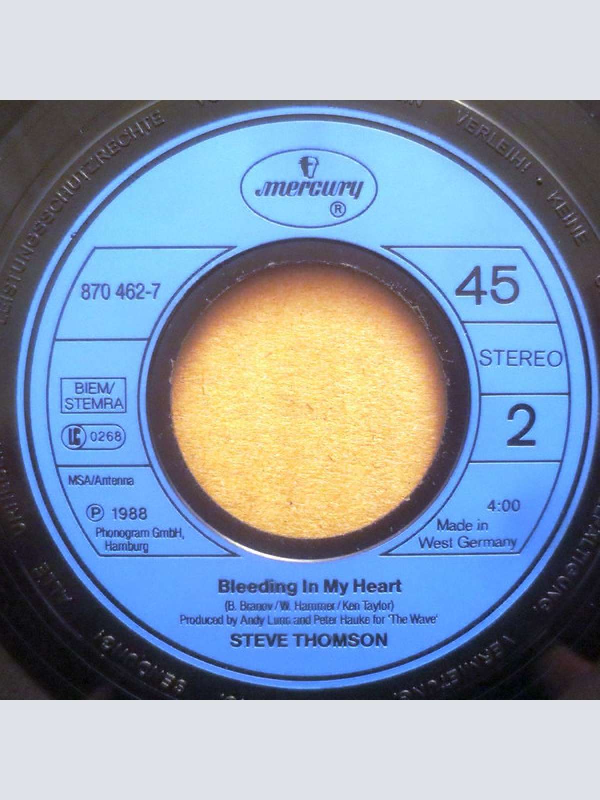 Vinyl / Steve Thomson - Europe (I Need You)