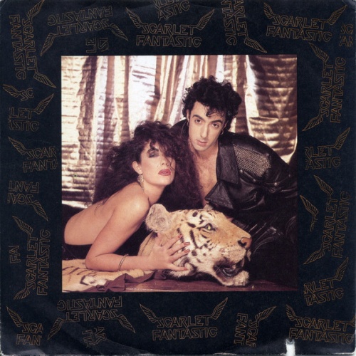 Vinyl / Scarlet Fantastic - Plug Me In