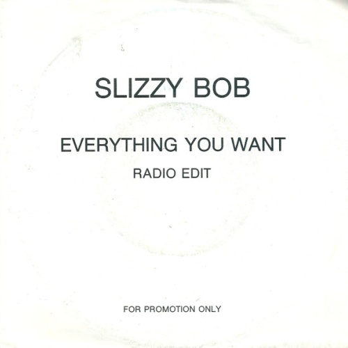 Vinyl / Slizzy Bob - Everything You Want