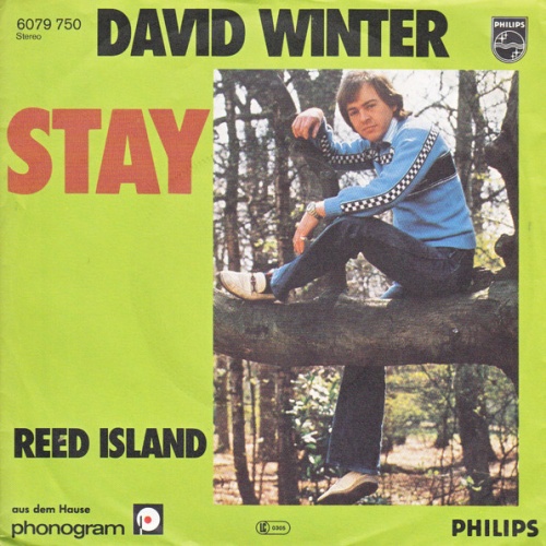 Vinyl / David Winter - Stay / Reed Island