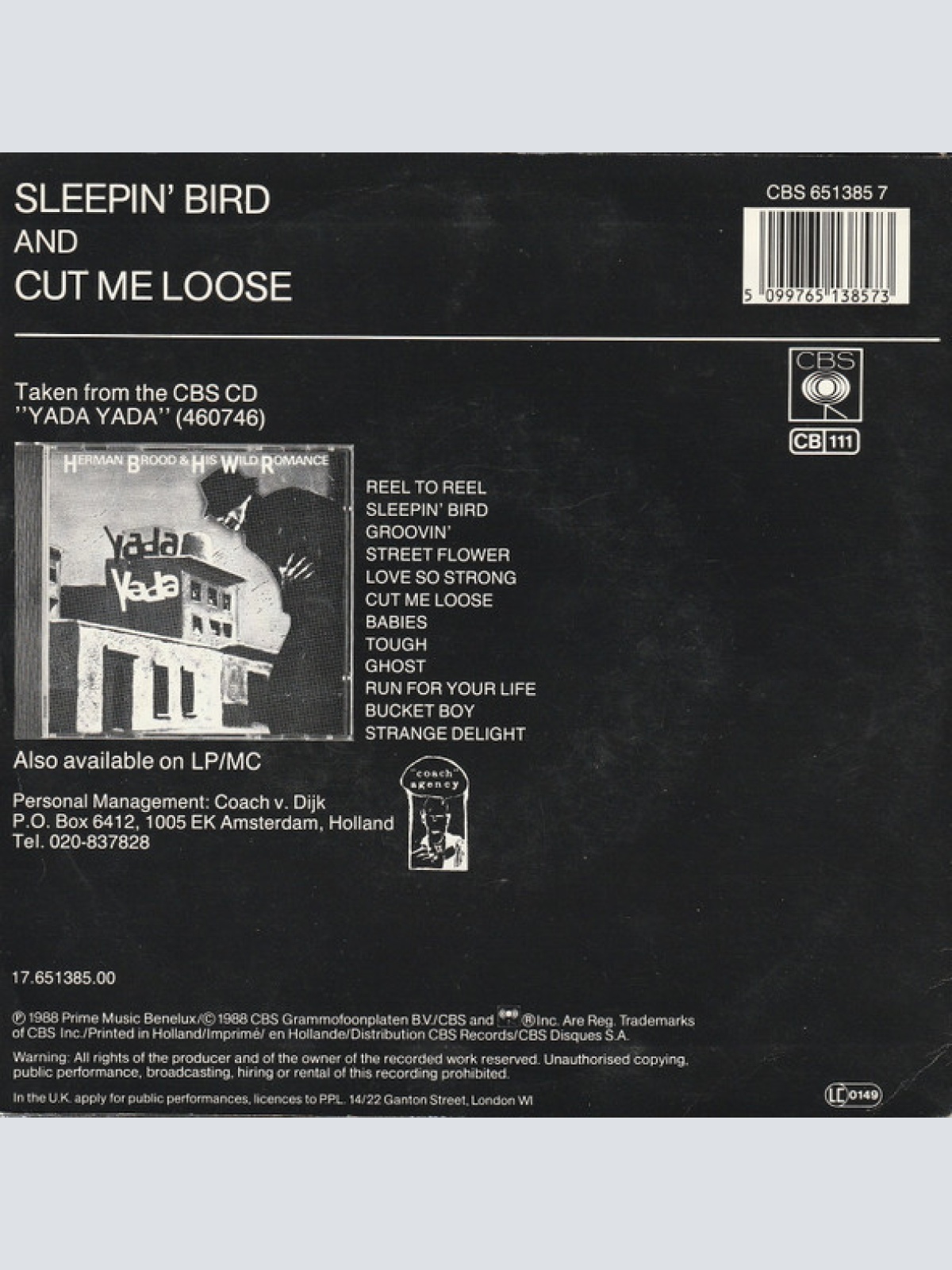 Vinyl / Herman Brood & His Wild Romance - Sleepin' Bird