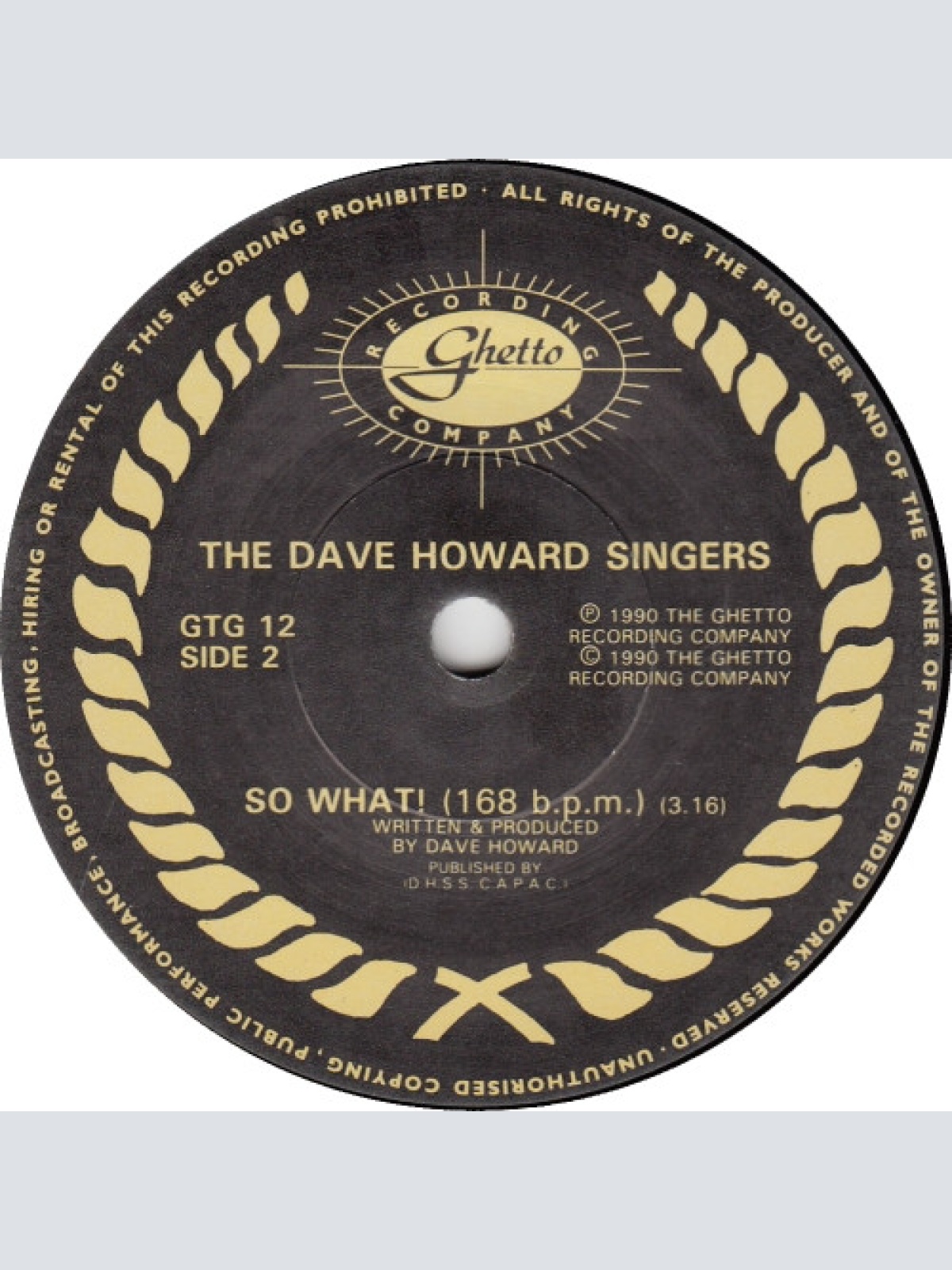 Vinyl / The Dave Howard Singers - All My Relatives Look The Same