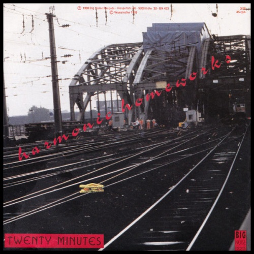 Vinyl / Harmonic Homeworks - Twenty Minutes