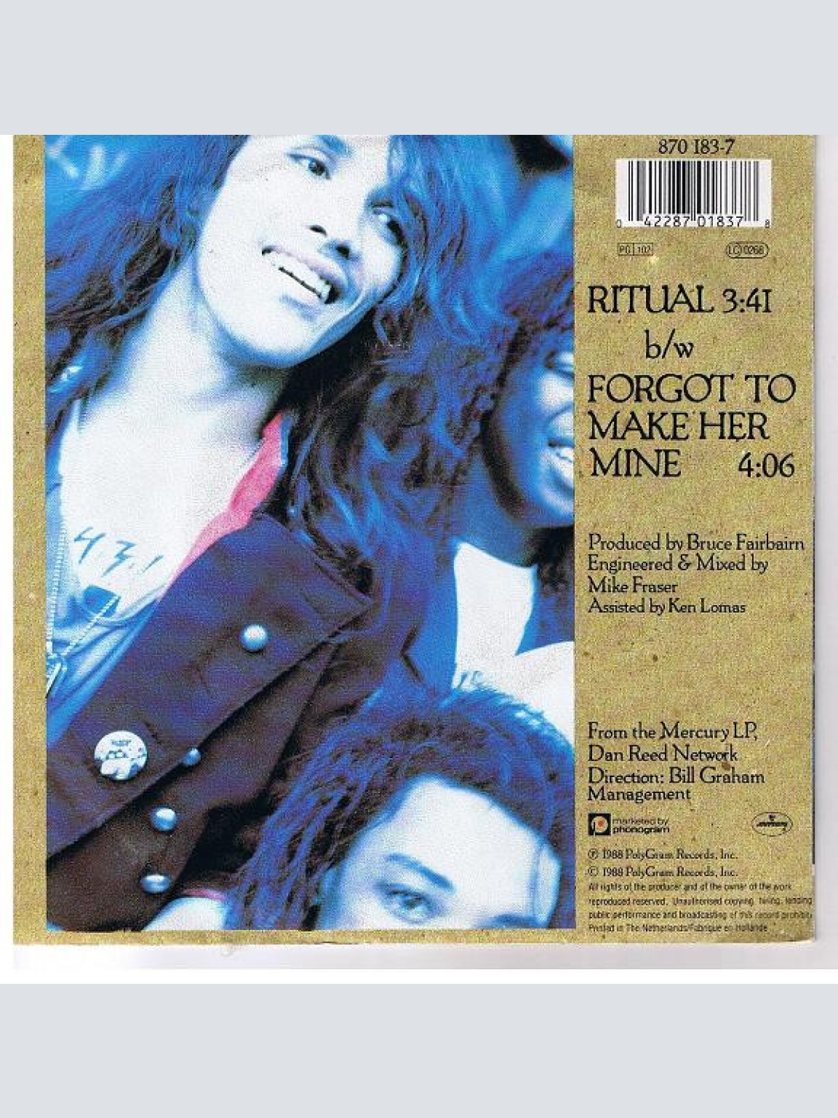 Vinyl / Dan Reed Network - Ritual