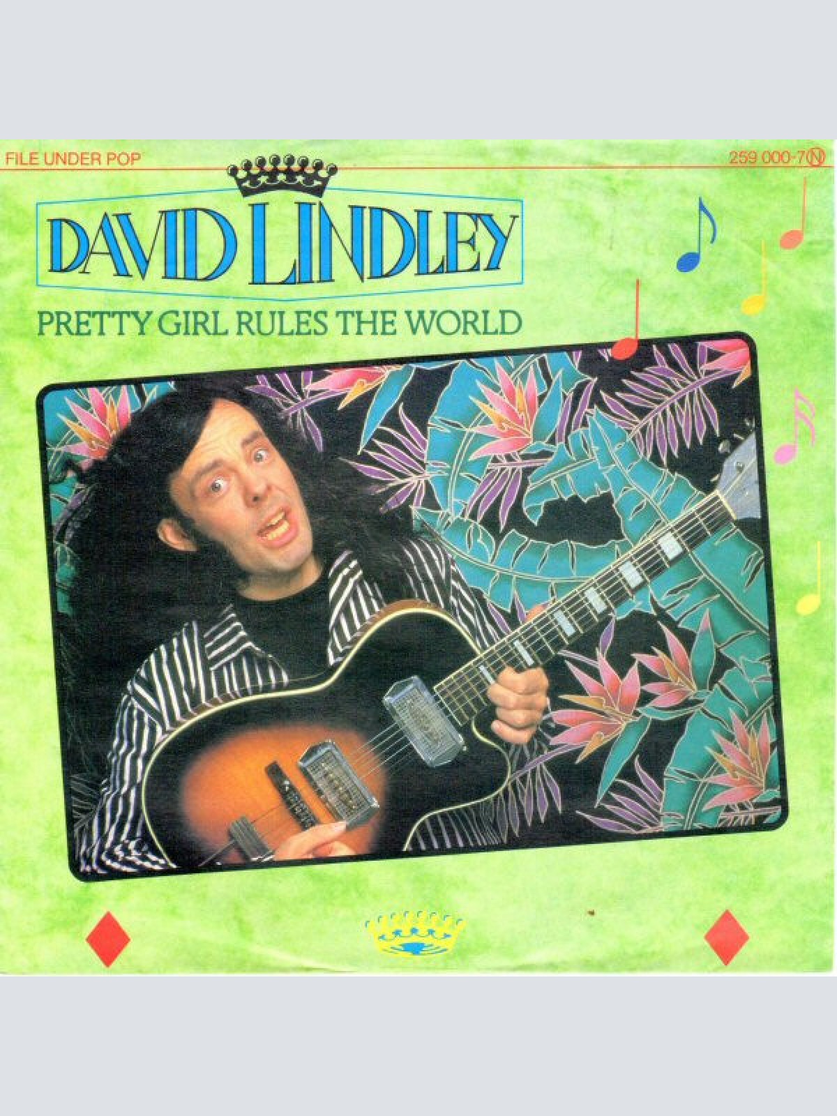 Vinyl / David Lindley - Pretty Girl Rules The World