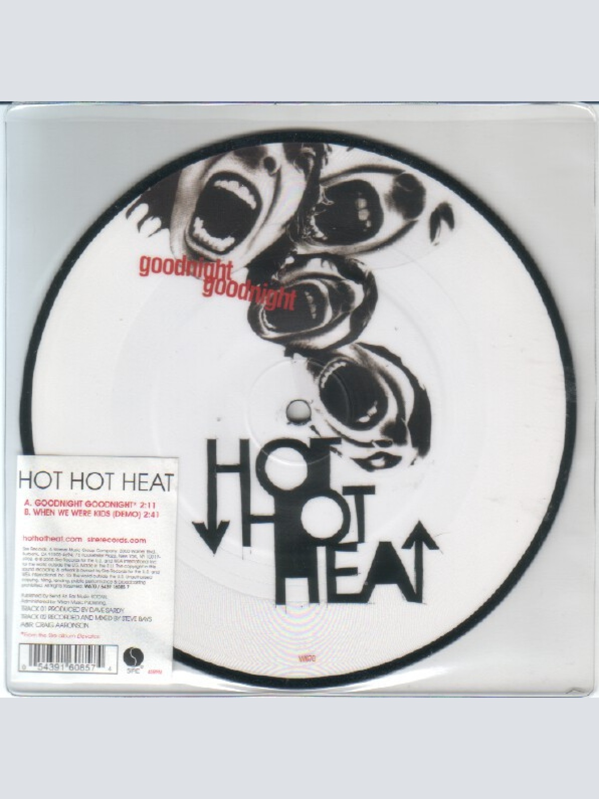 Vinyl / Hot Hot Heat - Goodnight Goodnight