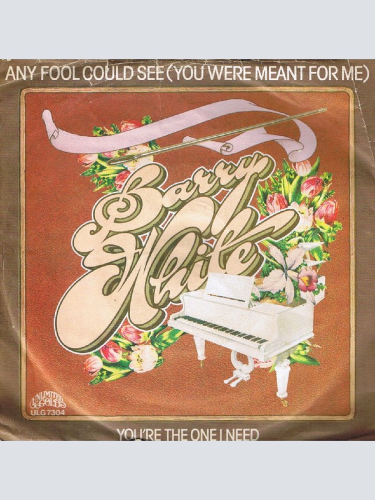 Vinyl / Barry White - Any Fool Could See (You Were Meant For Me)