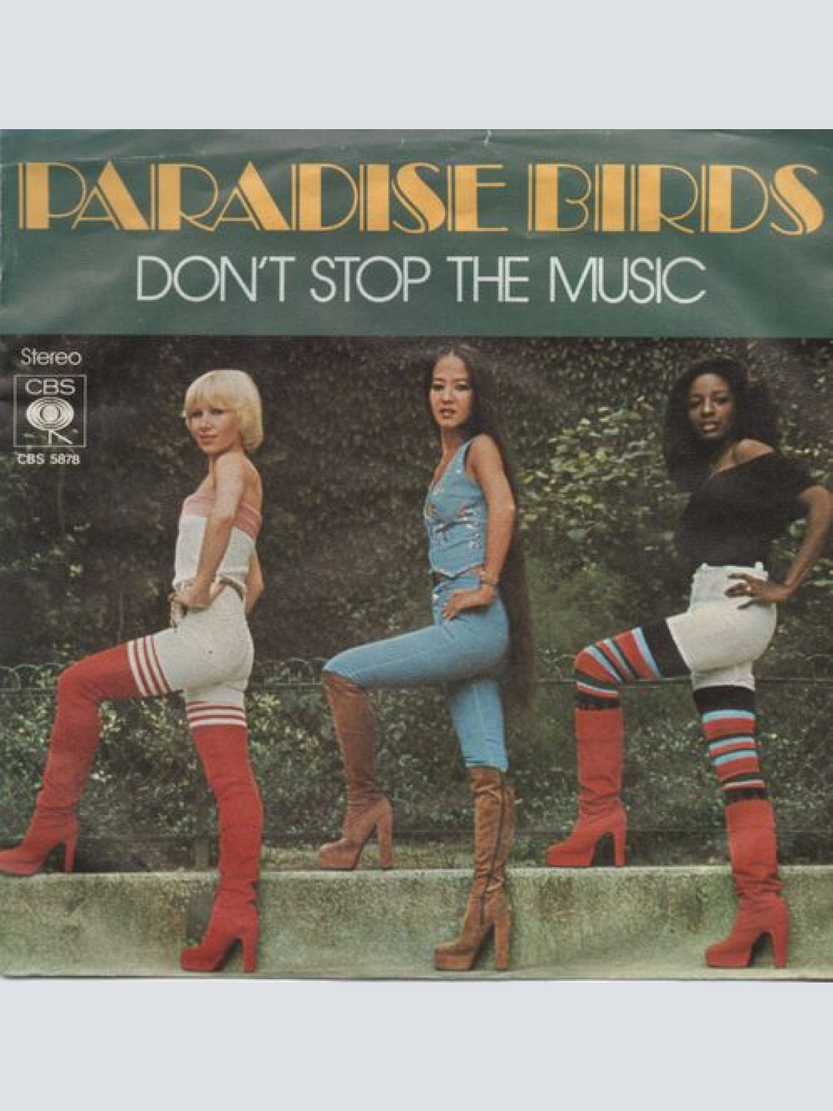 Vinyl / Paradise Birds - Don't Stop The Music