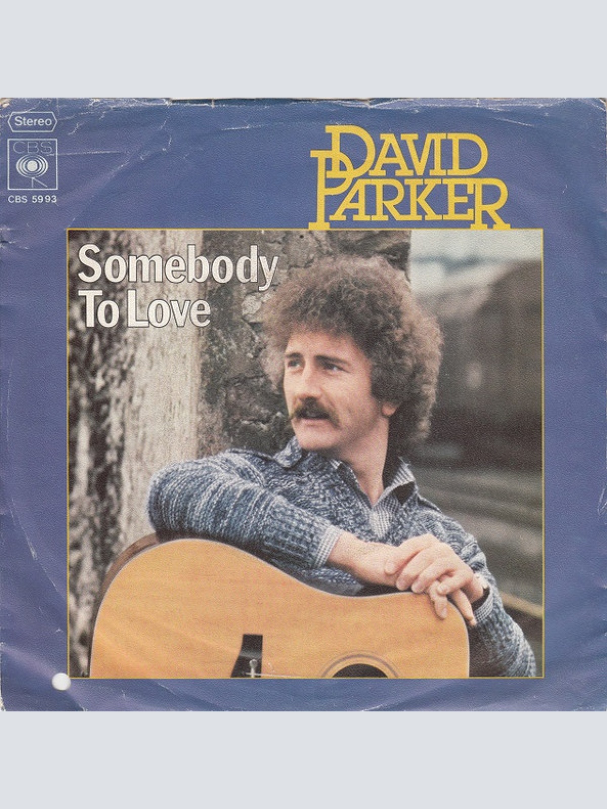 Vinyl / David Parker - Somebody To Love