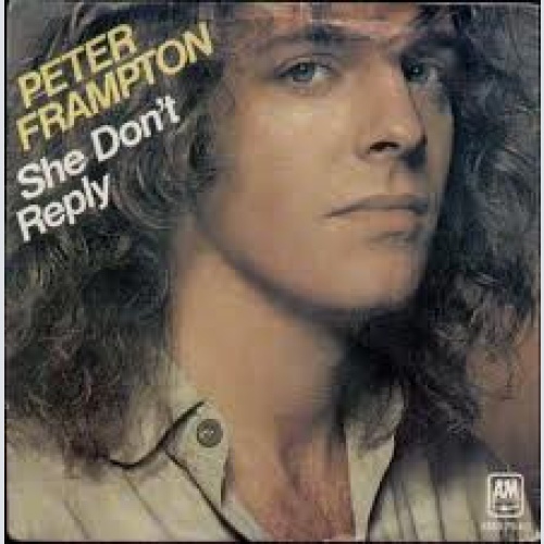 Vinyl / Peter Frampton - She Don't Reply