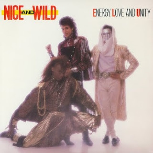 Vinyl / Nice And Wild* - Energy, Love And Unity