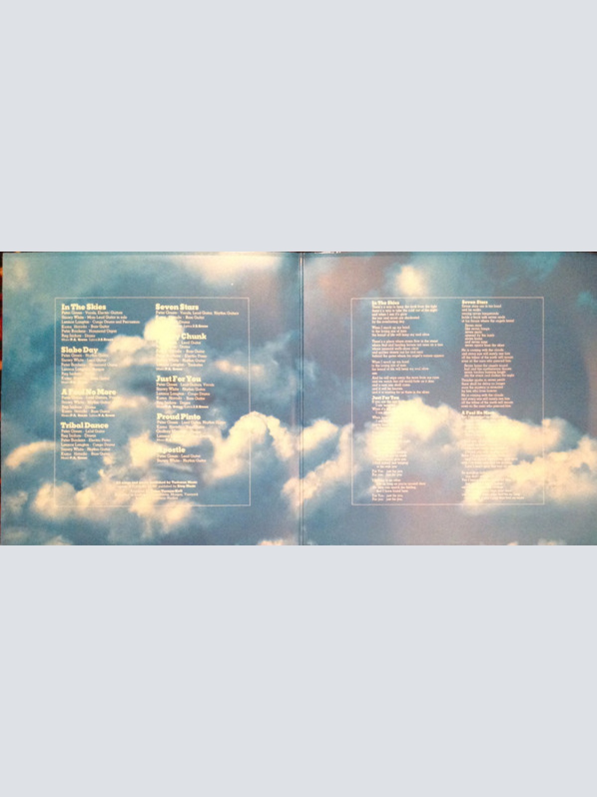 Vinyl / Peter Green (2) - In The Skies