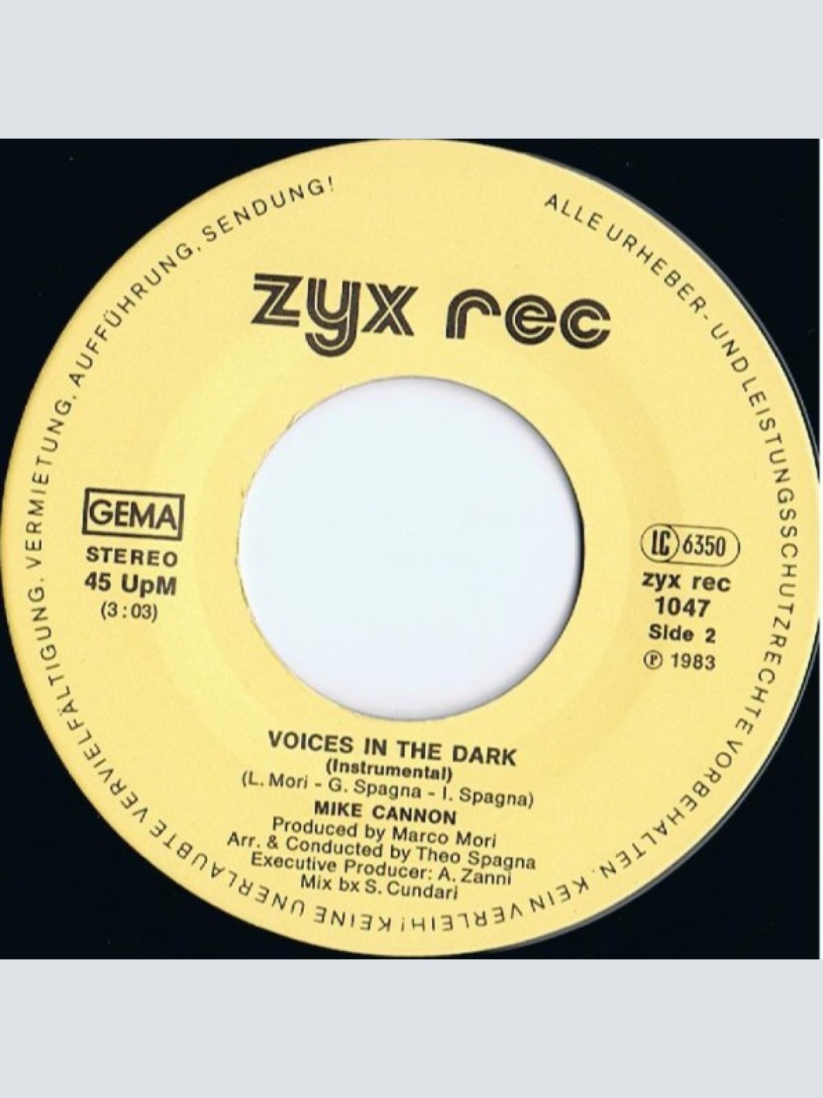 Vinyl / Mike Cannon - Voices In The Dark