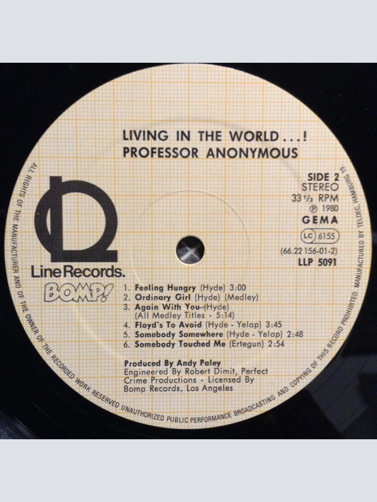 Vinyl / Professor Anonymous - Living In The World