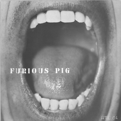 Vinyl / Furious Pig - Furious Pig