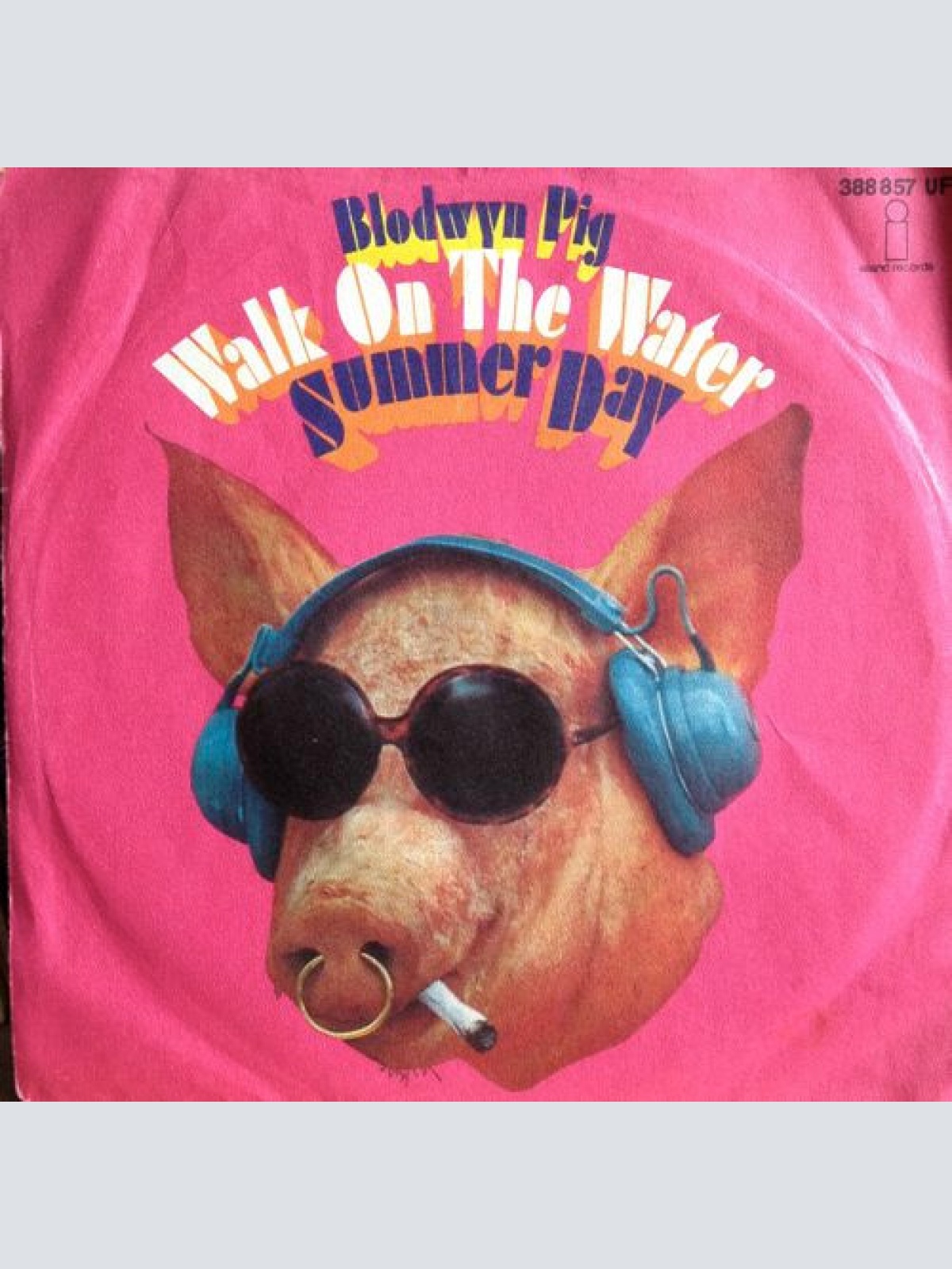 Vinyl / Blodwyn Pig - Walk On The Water