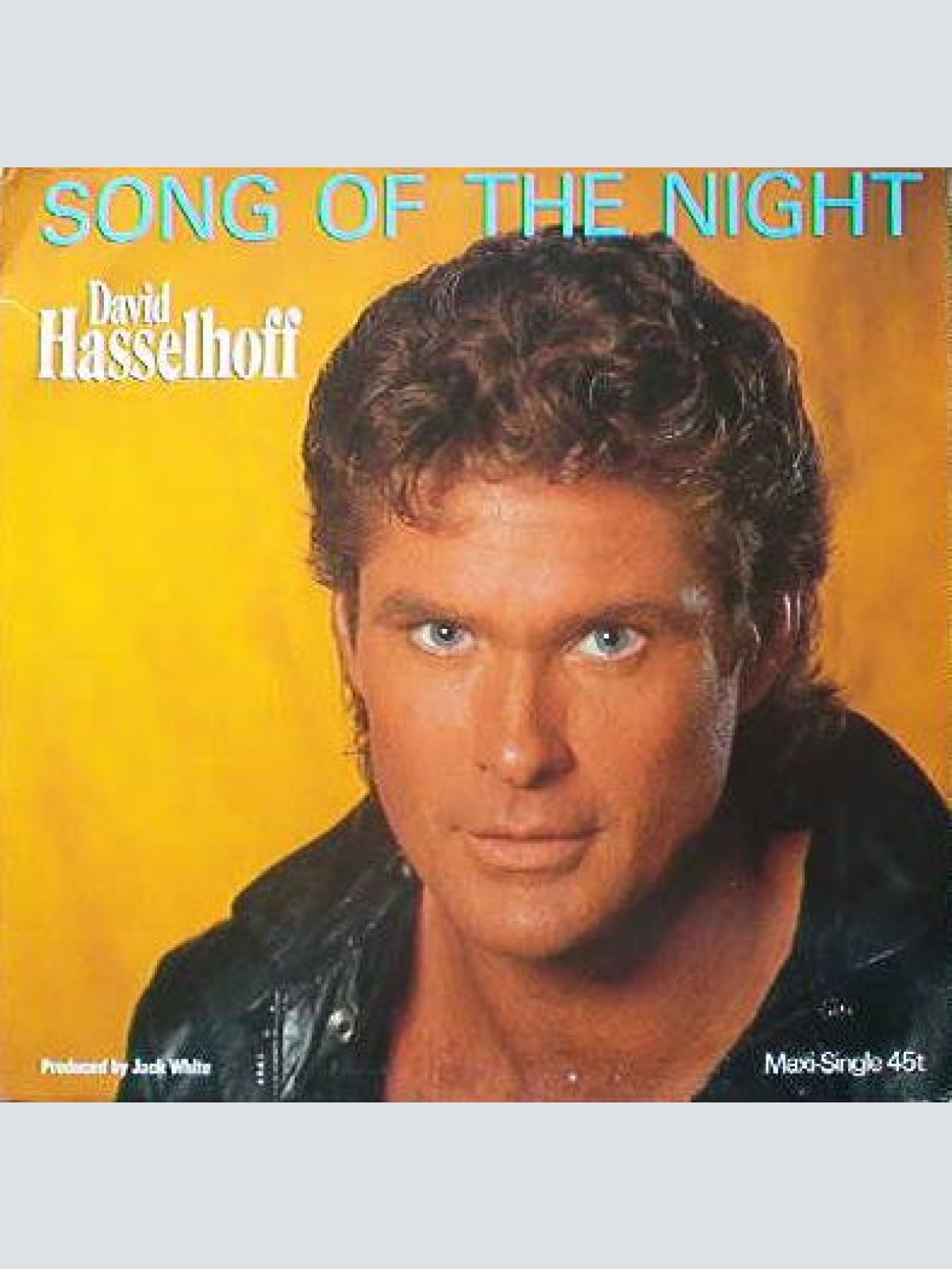 Vinyl / David Hasselhoff - Song Of The Night