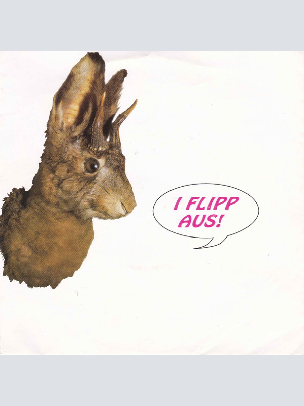 Vinyl / Airport Band - I Flipp Aus!