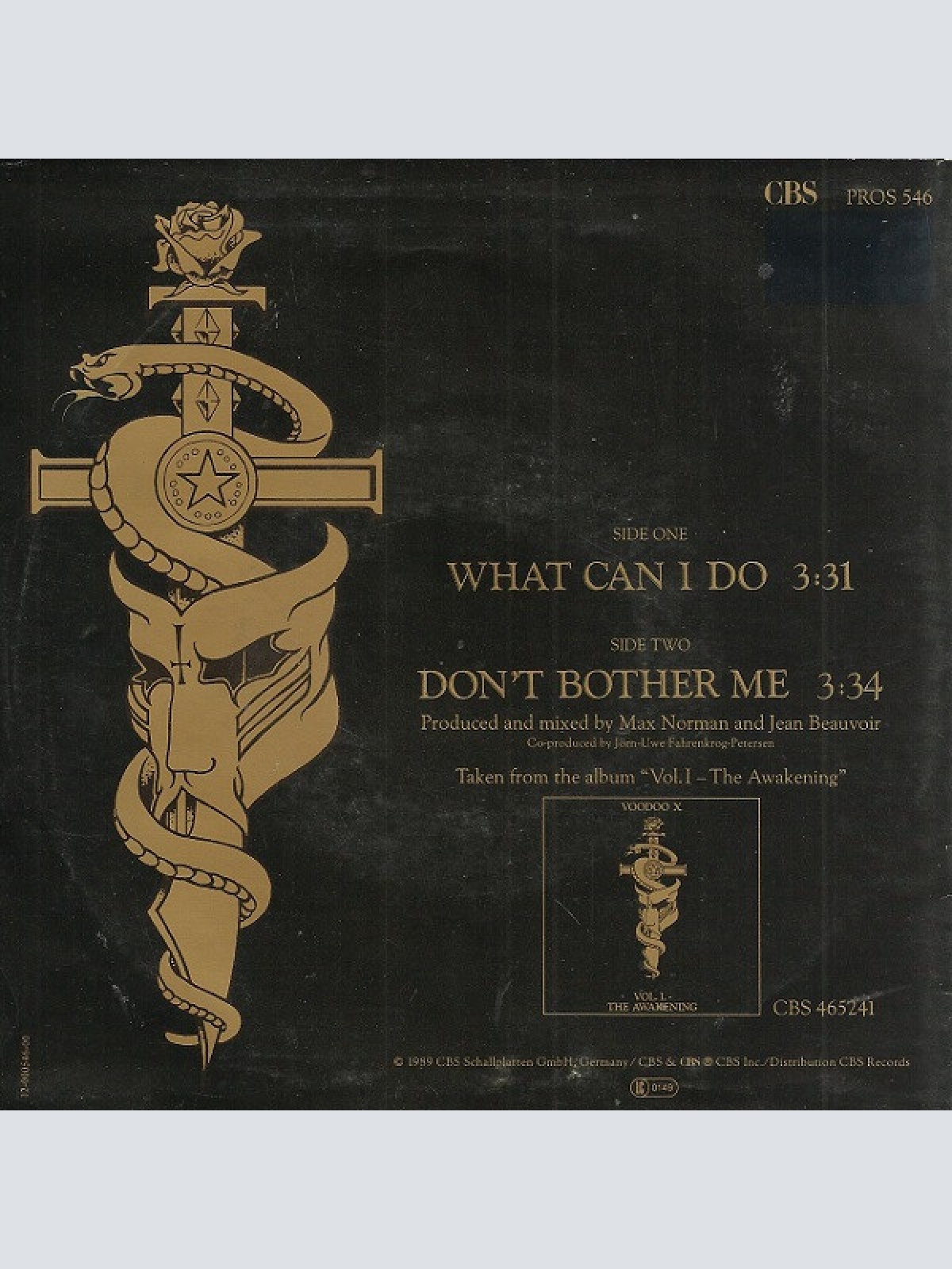 Vinyl / Voodoo X - What Can I Do