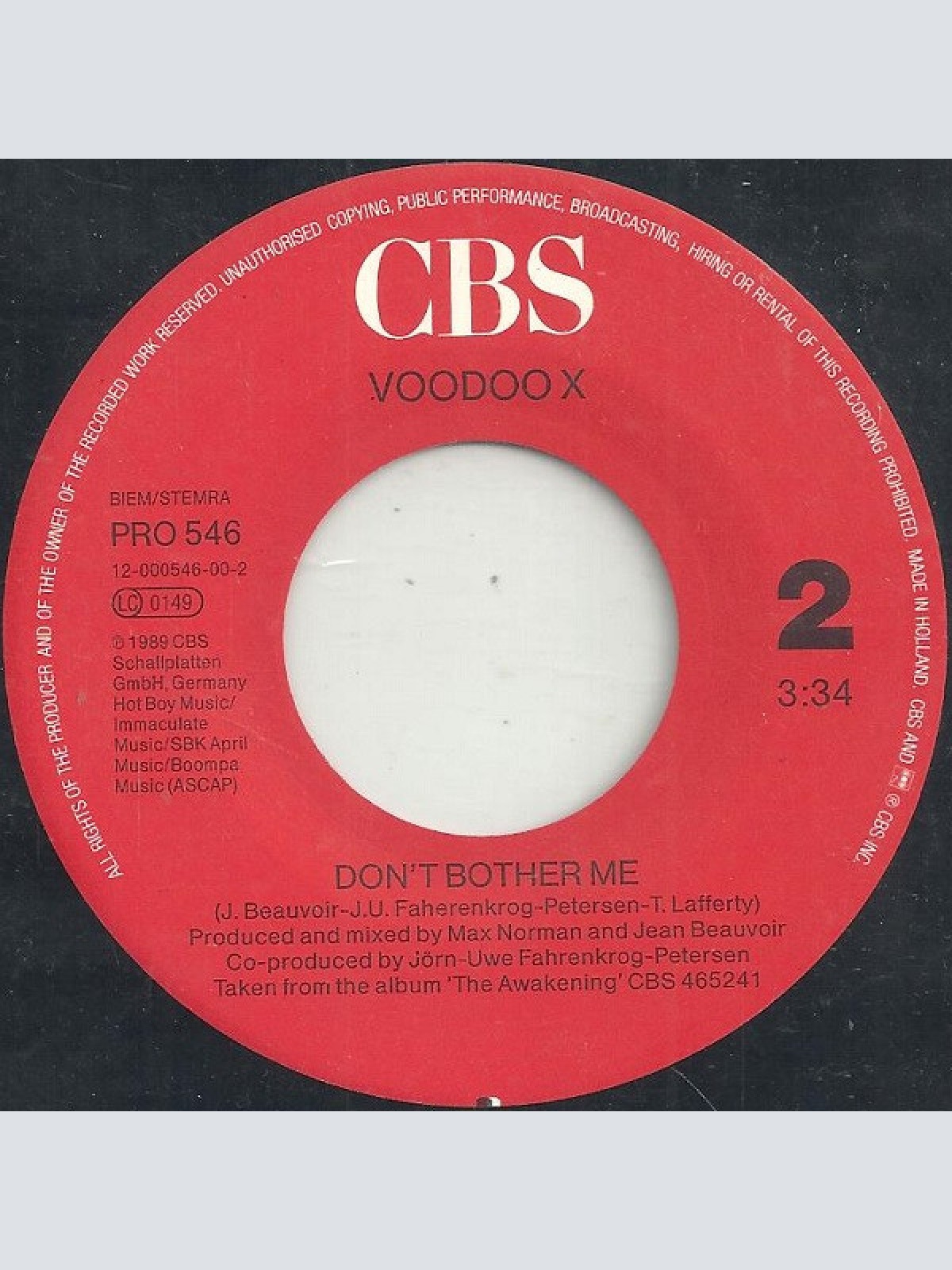 Vinyl / Voodoo X - What Can I Do