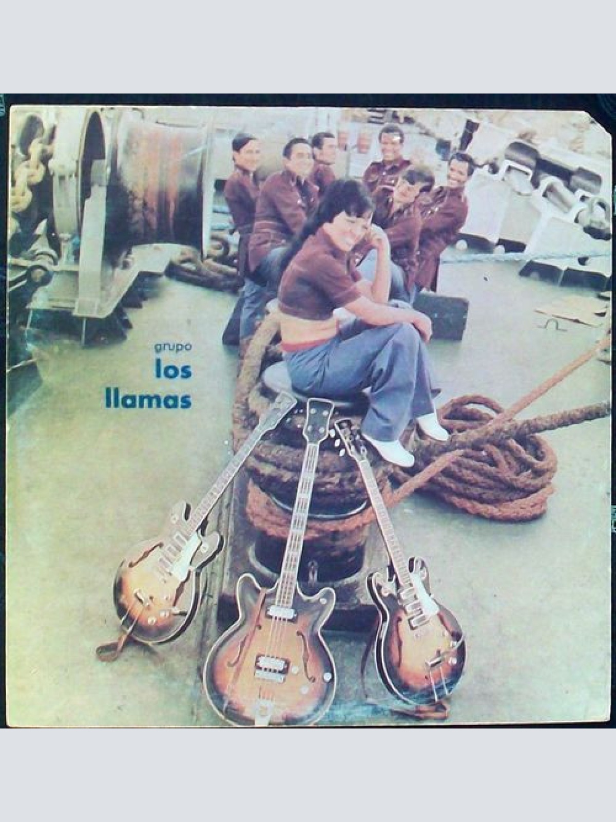 Vinyl / Los Llamas - Grupo Los Llamas