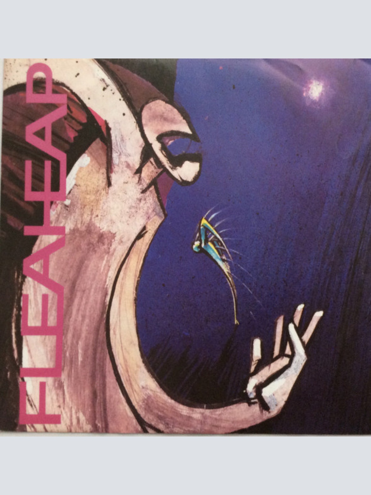 Vinyl / Fleaheap - The Truth
