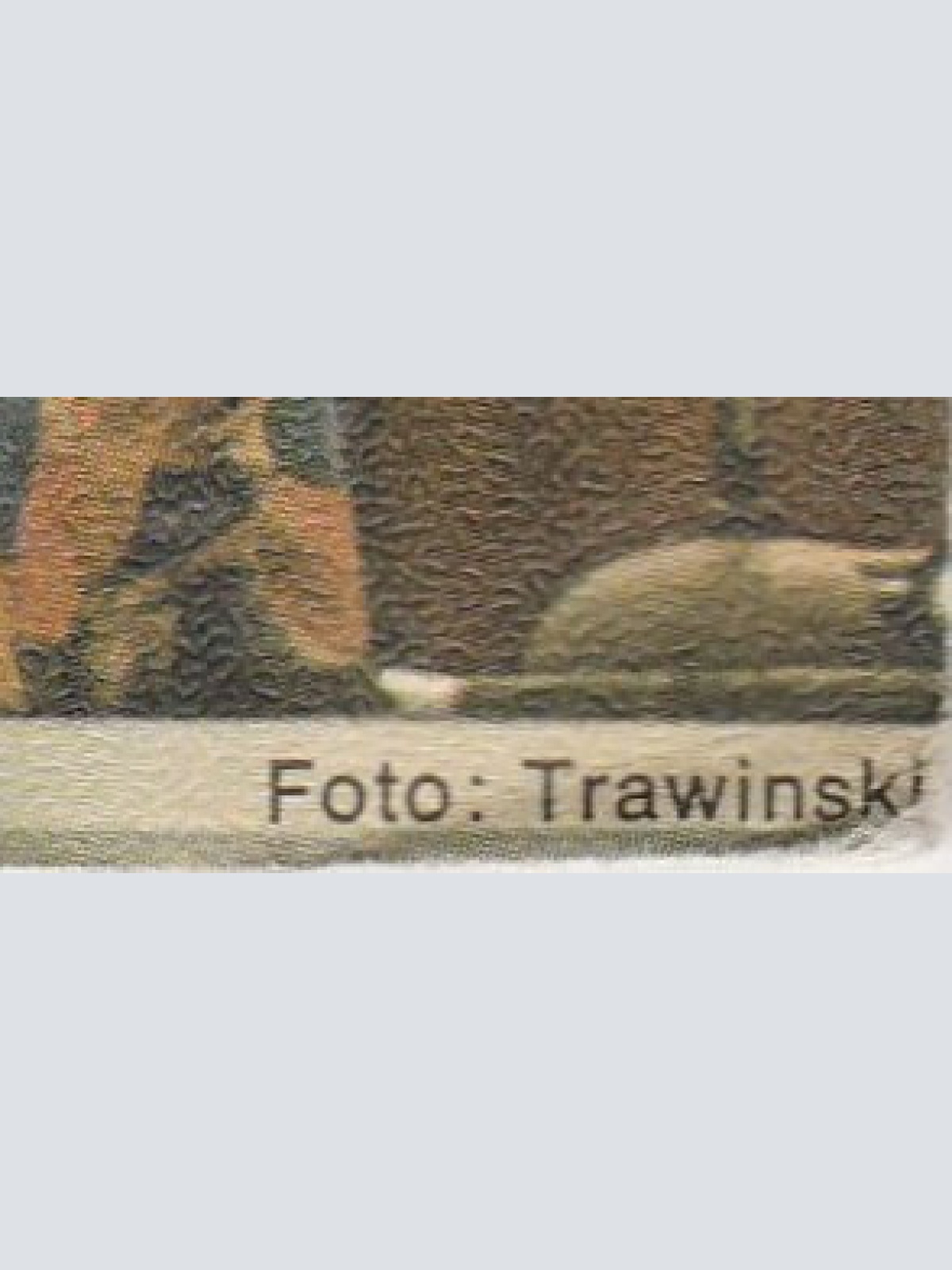 Vinyl / Middle Of The Road - Sacramento